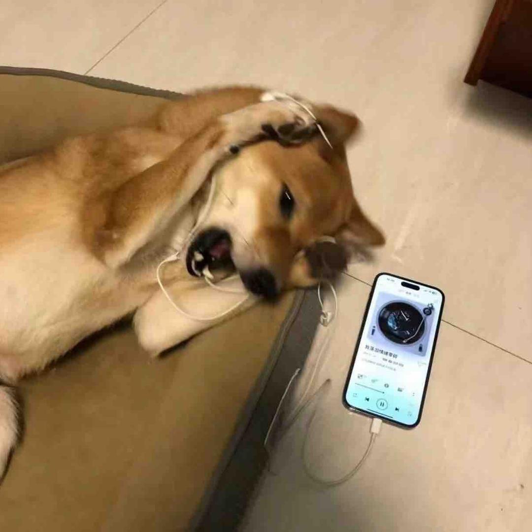 错觉