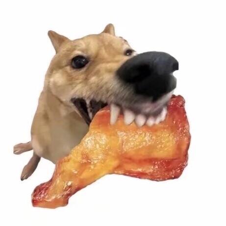 迟遇.
