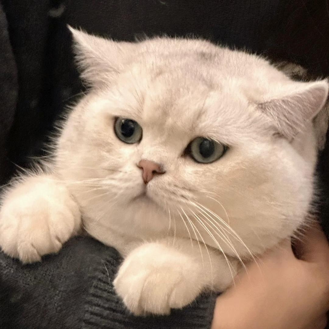 小小吃不饱