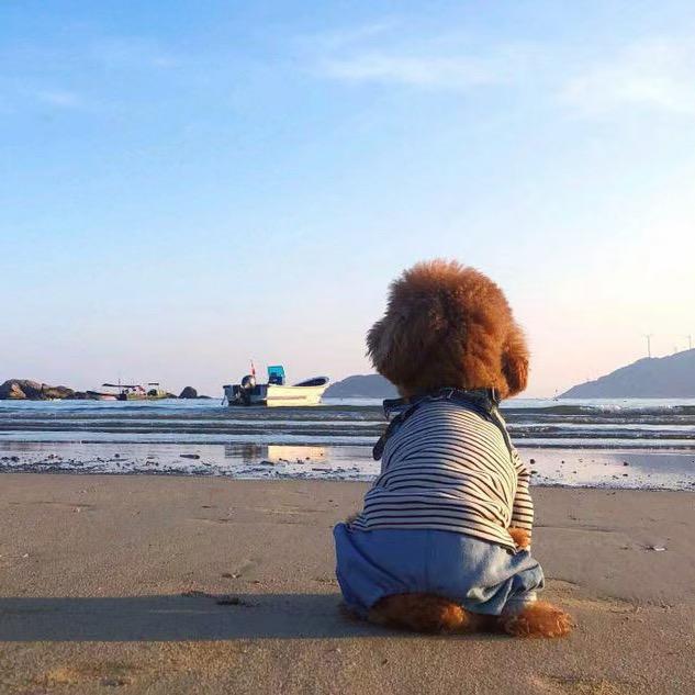 金霸霸💰💰💰