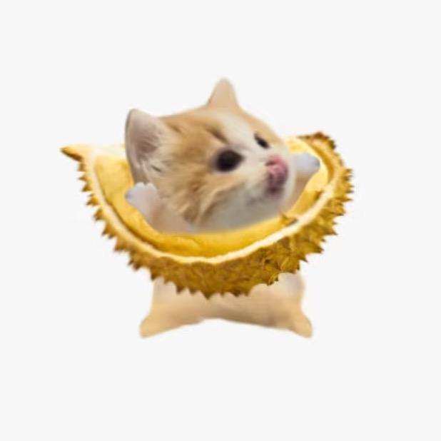 盼缘还