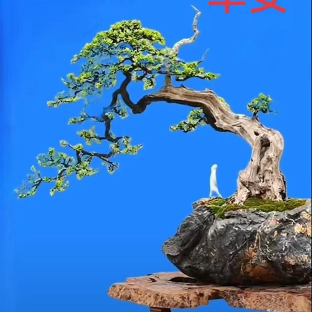 拙景园主