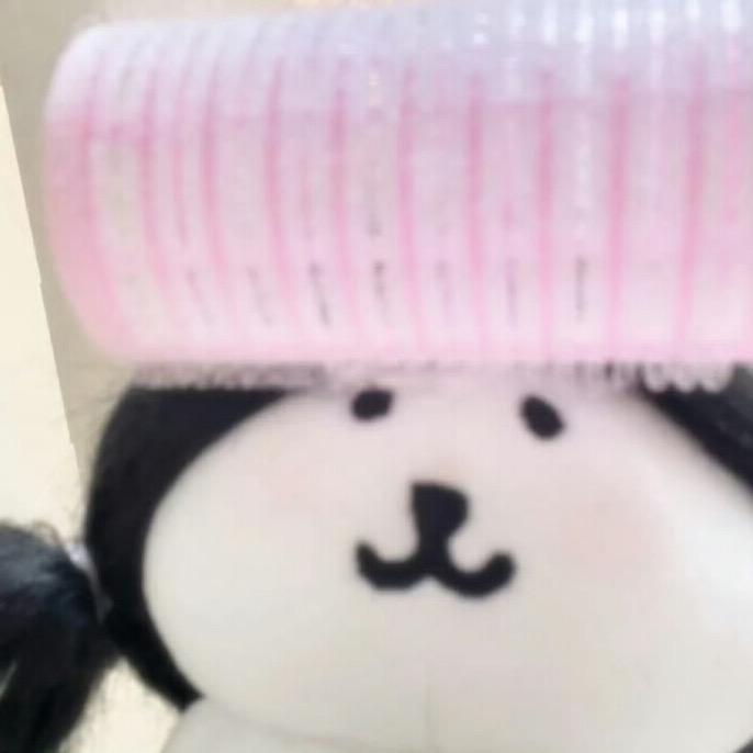 用这个头像表示睡觉了