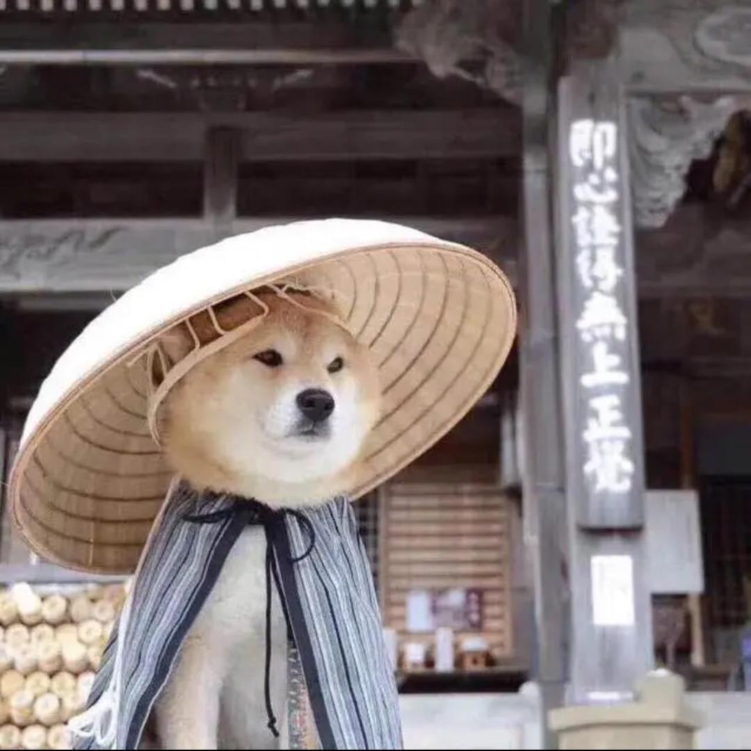 包子最棒
