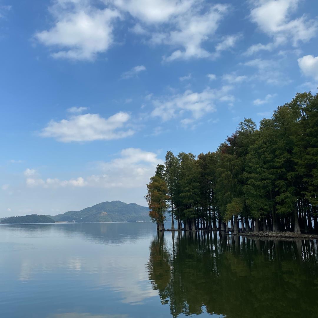 宁波鸭子哥