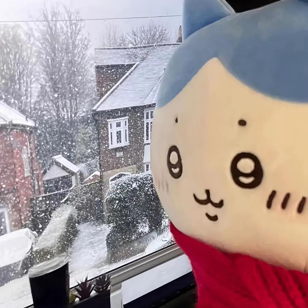 忧郁の高数