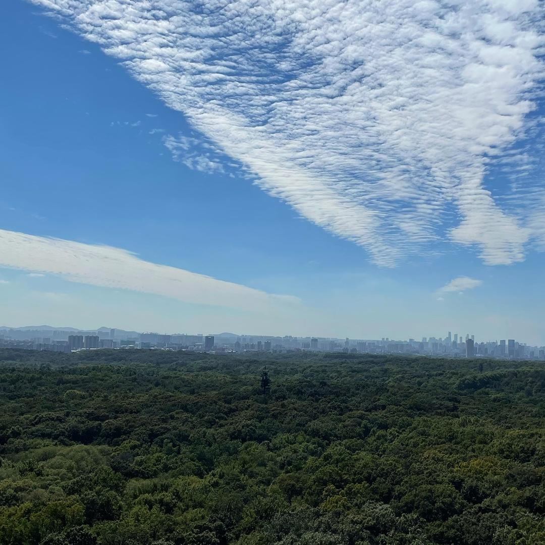 长着翅膀的小灰灰