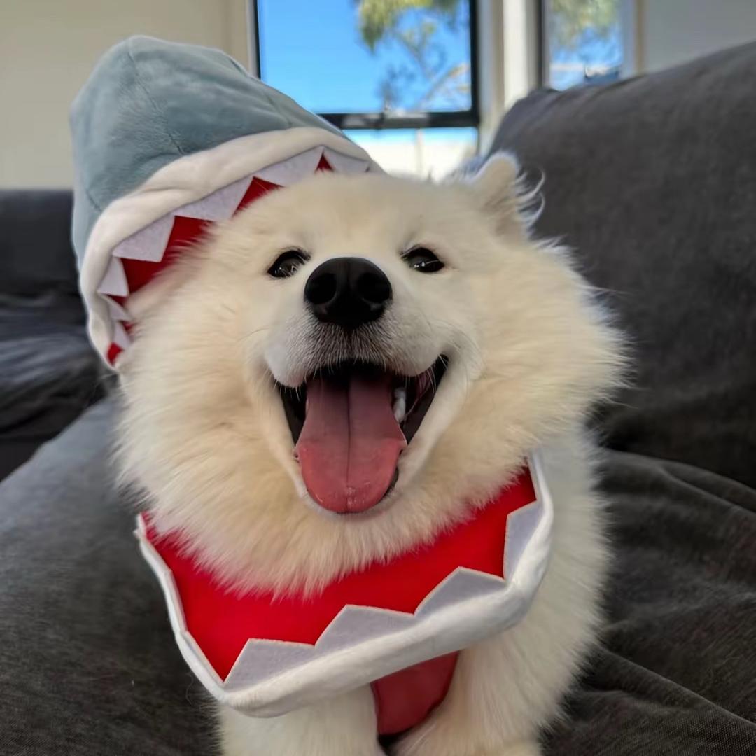 Hope 🦁🦈（见过莎头版）
