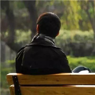 风与路人