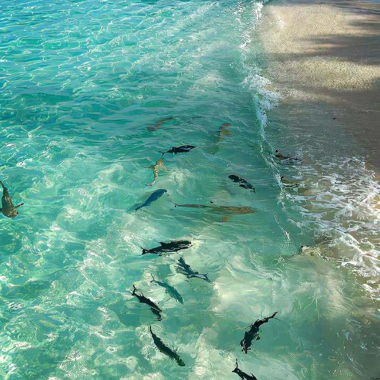 温温·日式nail💅