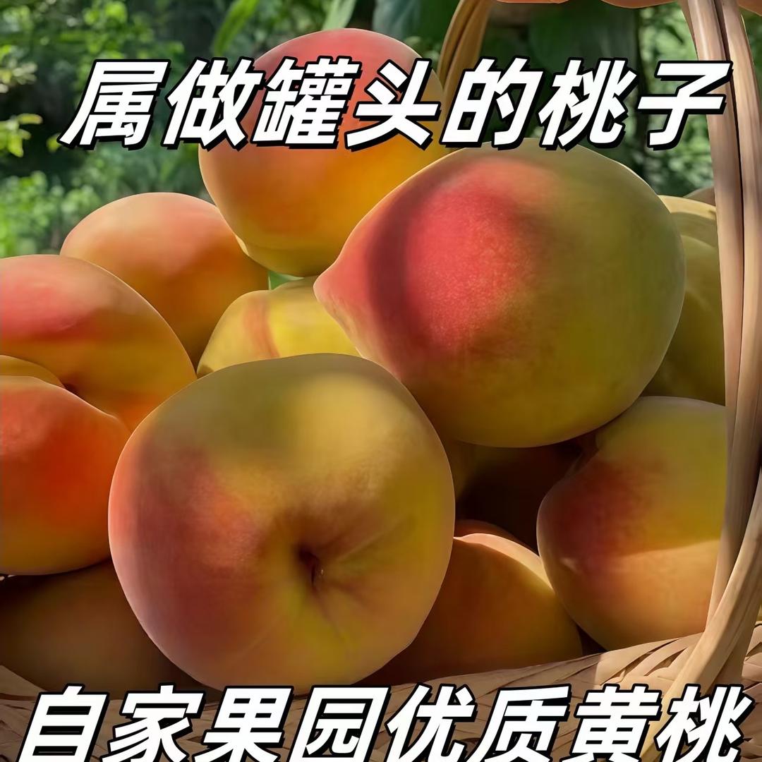 梨想家果园