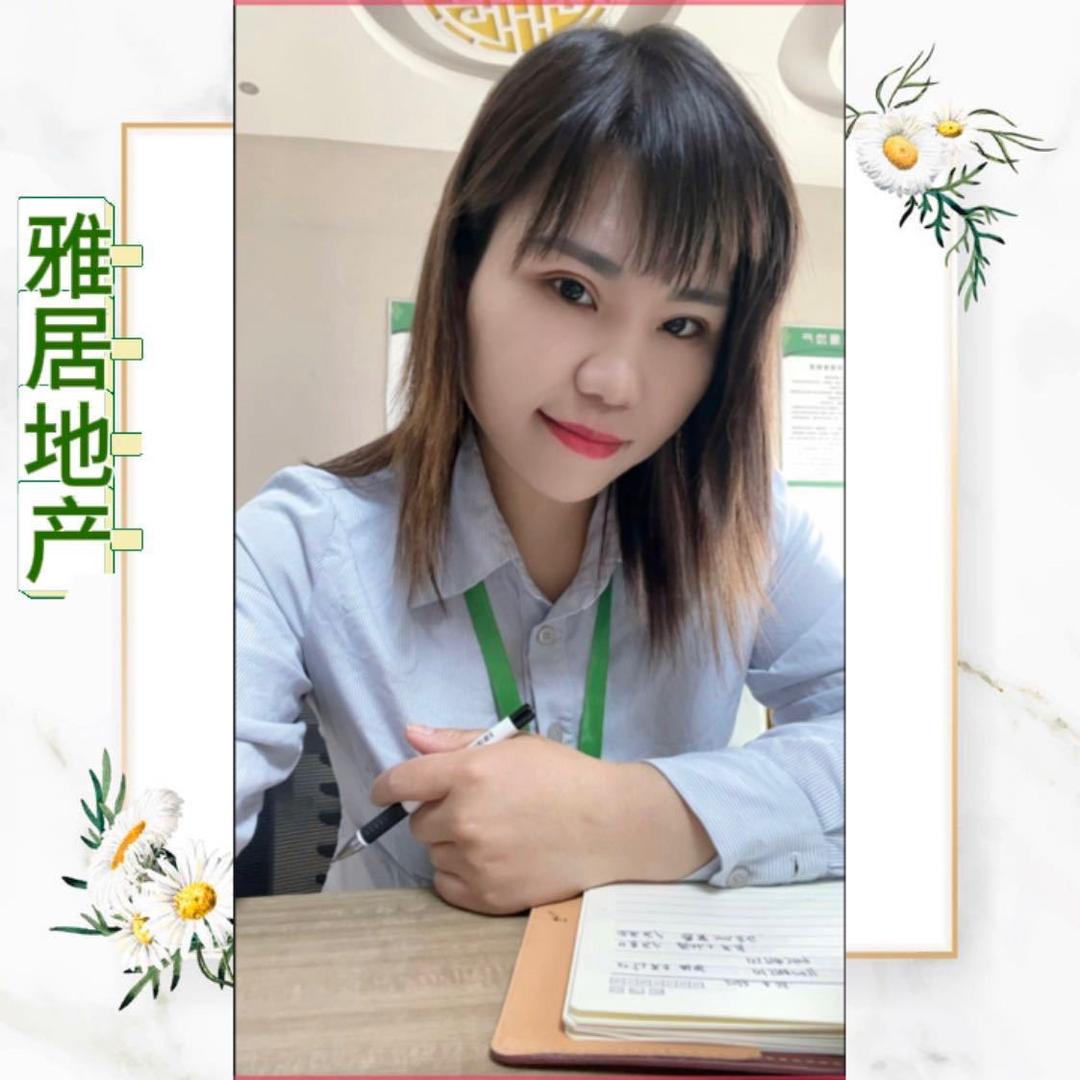 鄢陵新房团购会琴