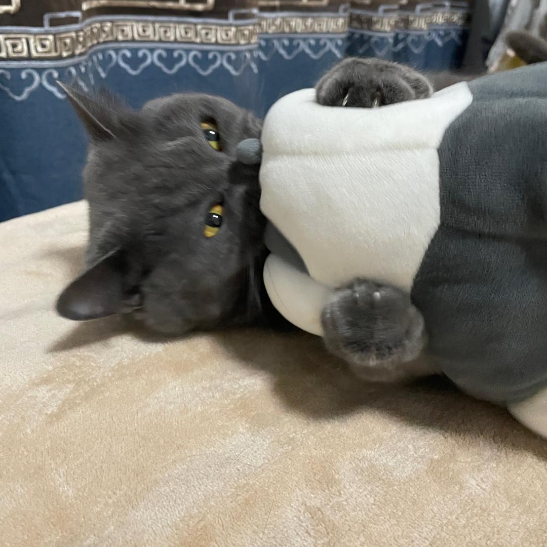 流动馋嘴小摊车-小二