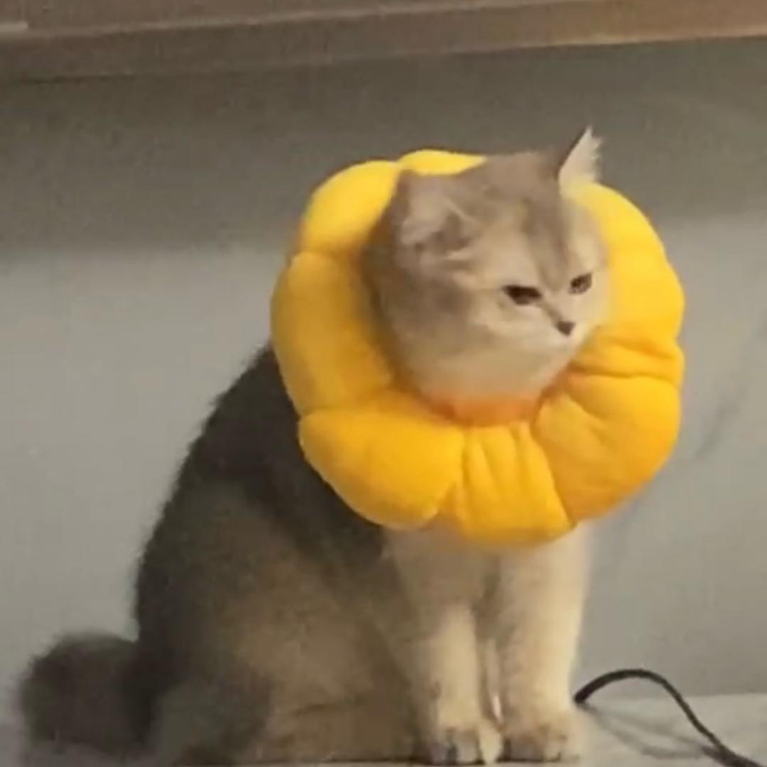 A、余悸