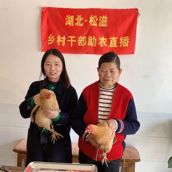 乡村. 小牛（农产品推荐）