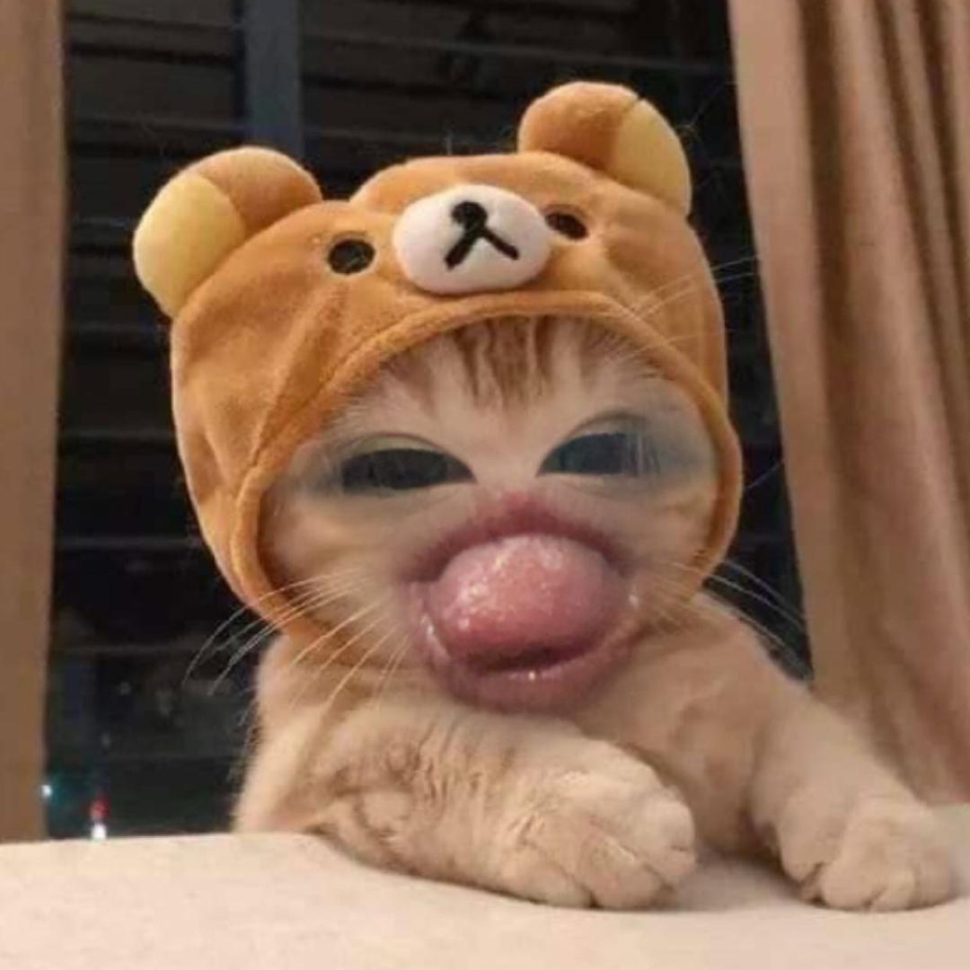 妮基