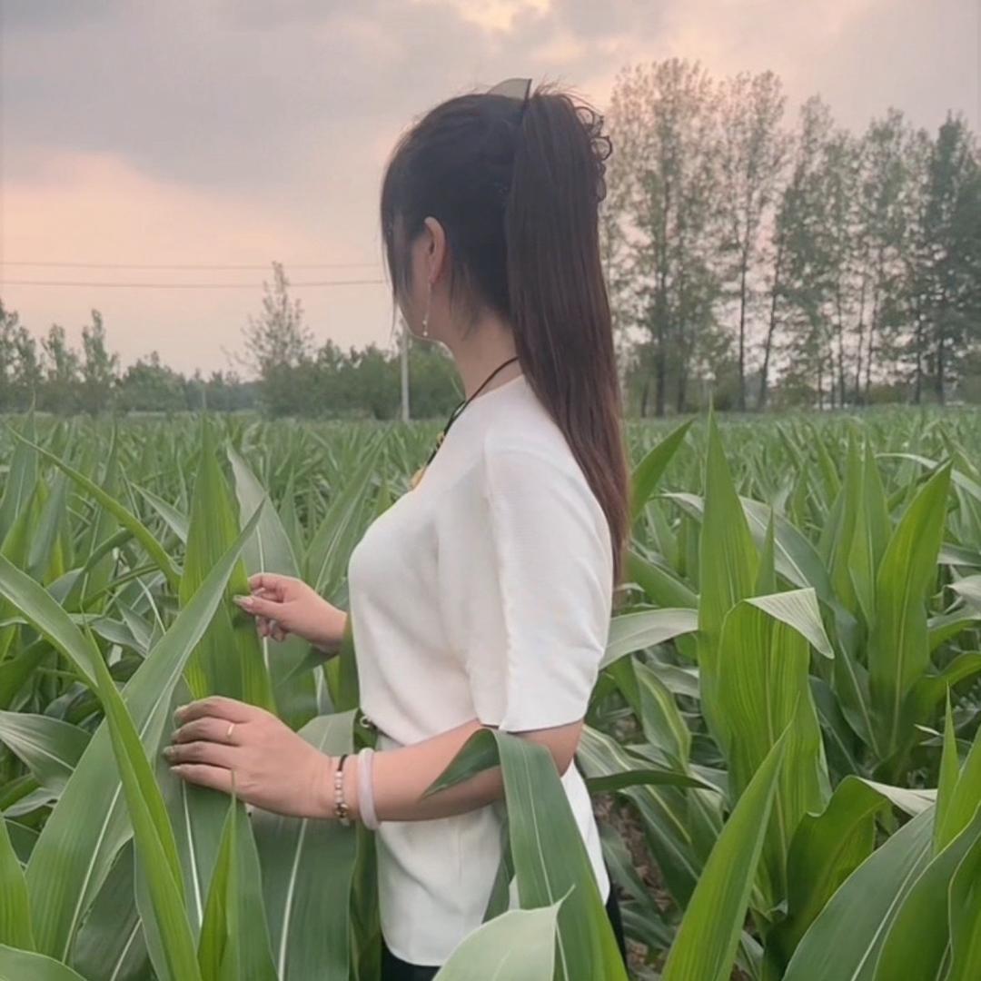 夏邑孔祖驾校刘经理