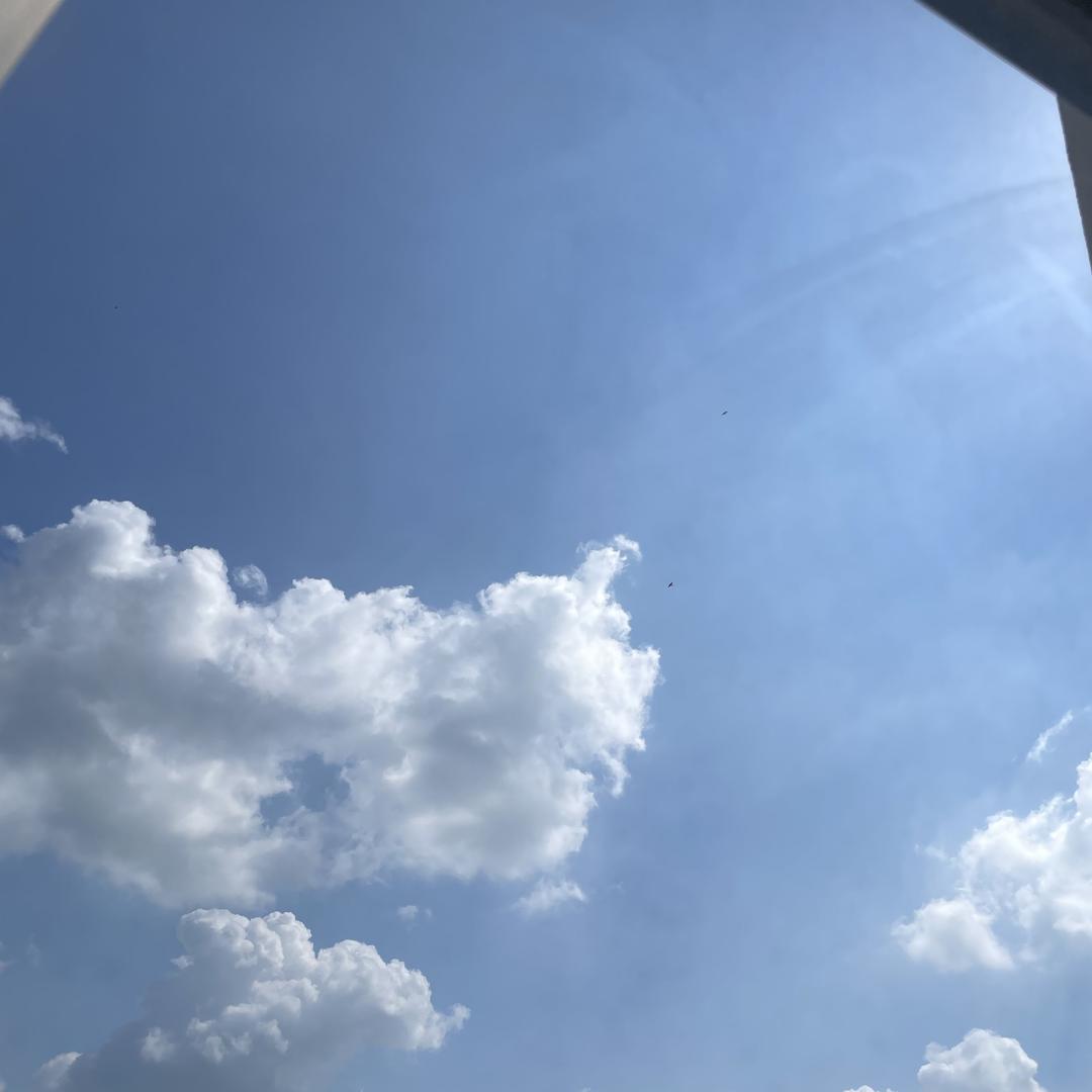 72529675501