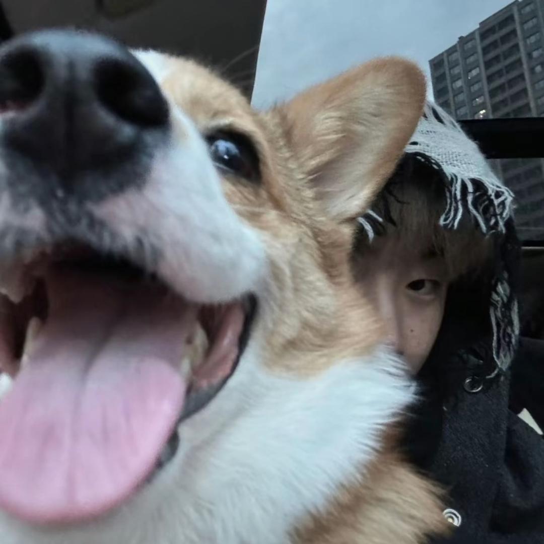 ￴￴  ￴ ￴ ￴￴￴