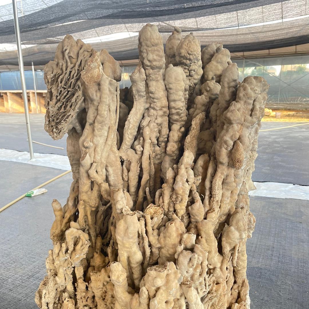 云溪上水石