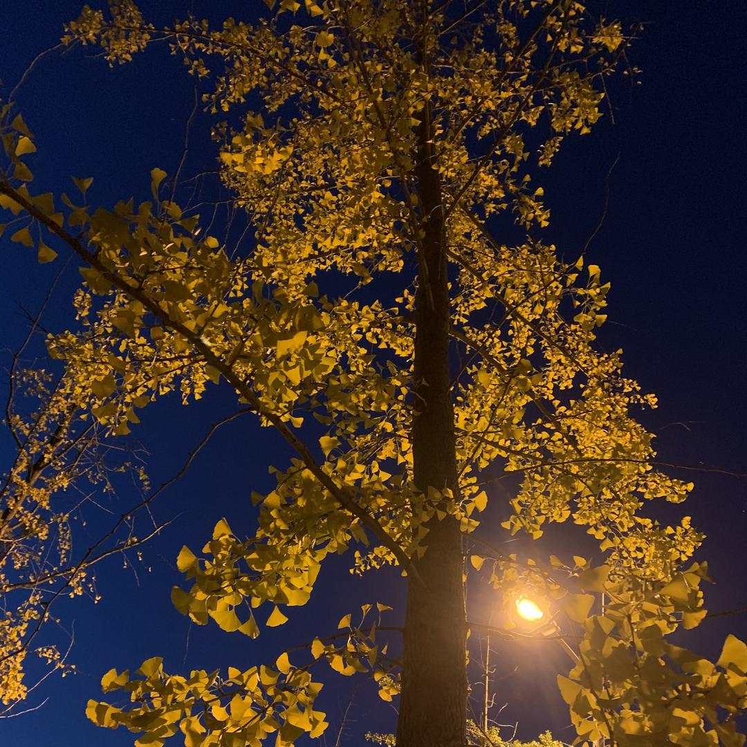 什三