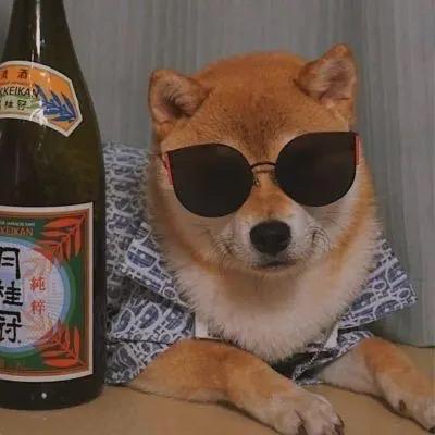 娇羞的美男子