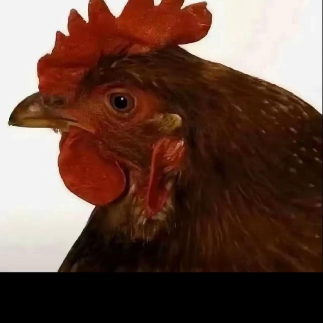 yy.