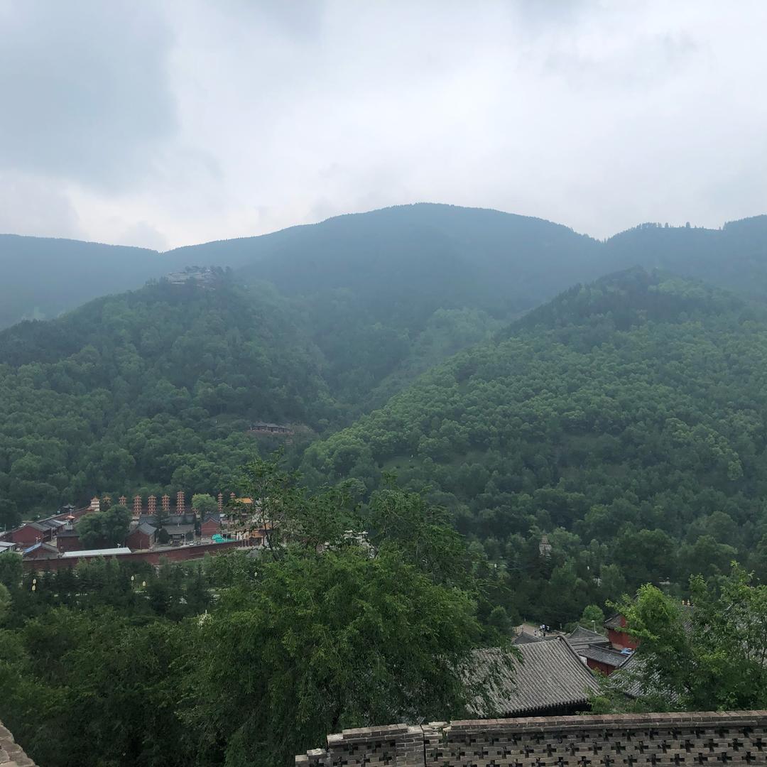 等风来