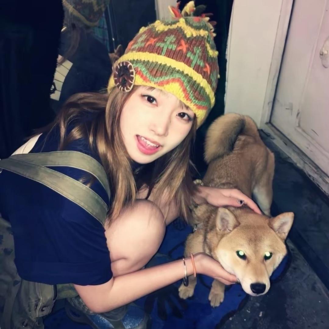 满山猴子 我腚最红