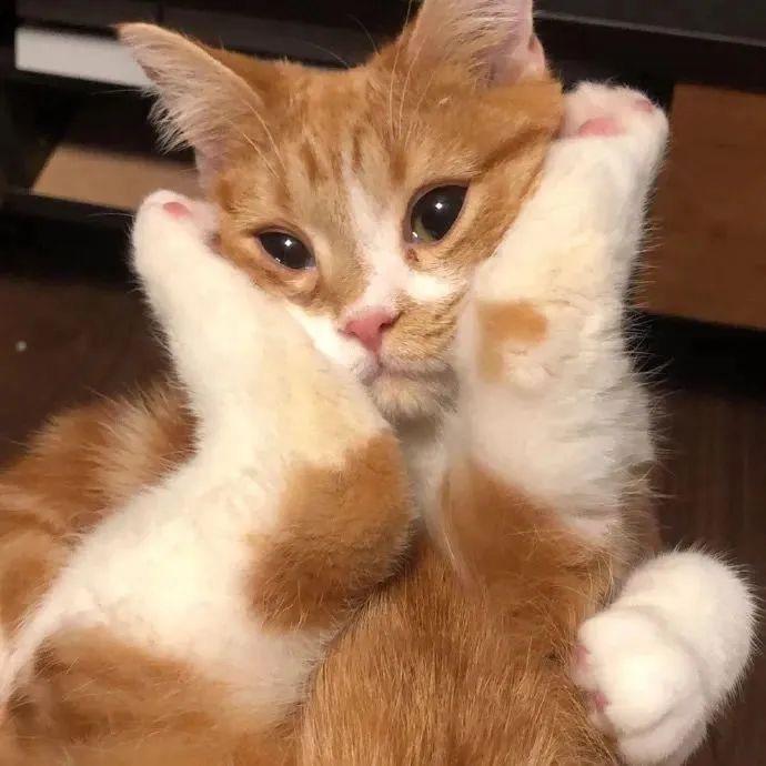 不想晚睡！