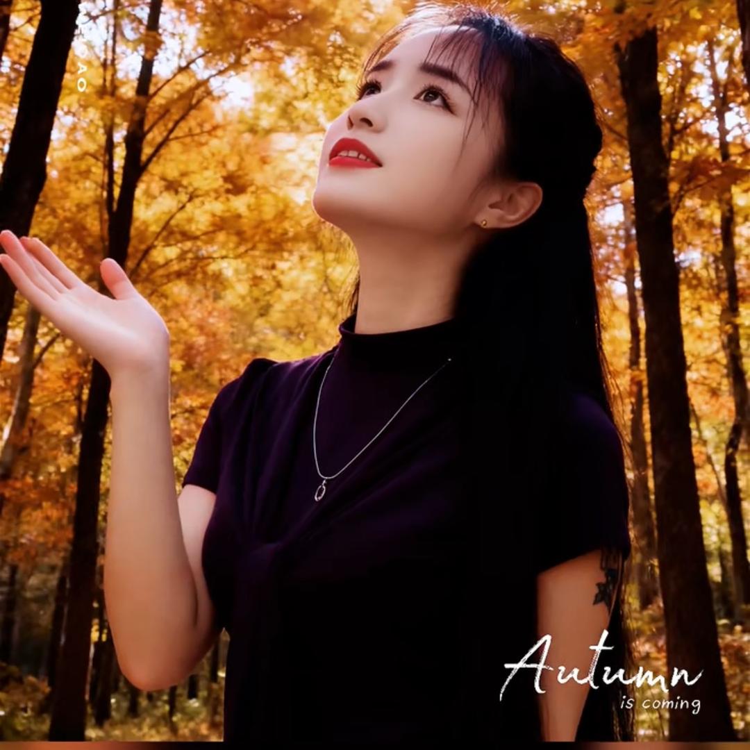 赵三姐