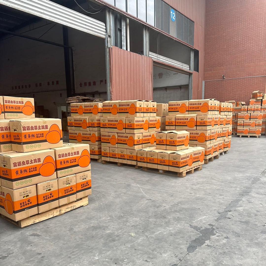 土鸡蛋绿壳蛋全国发货