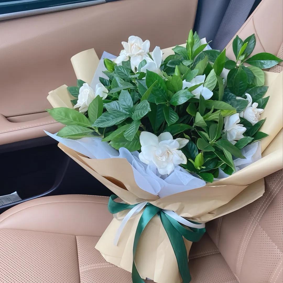 ༊💐 🌿栀夏 💞🌿