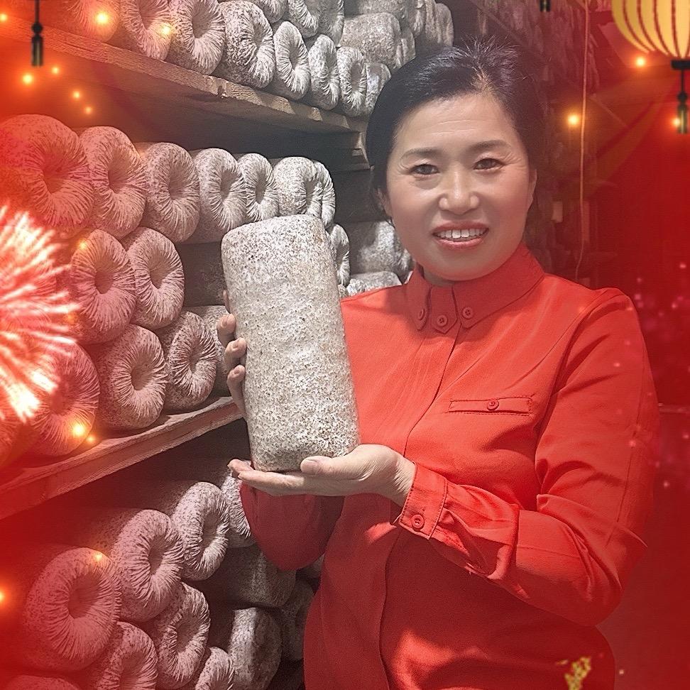 东北林金香