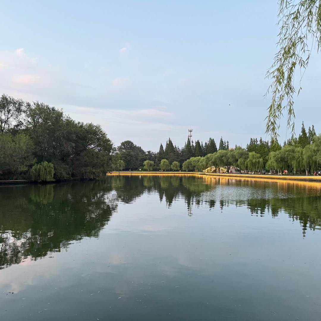 水清无🐟