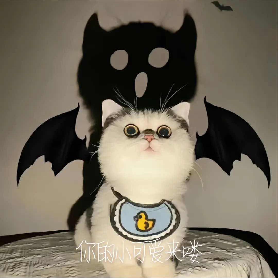 biu biu biu