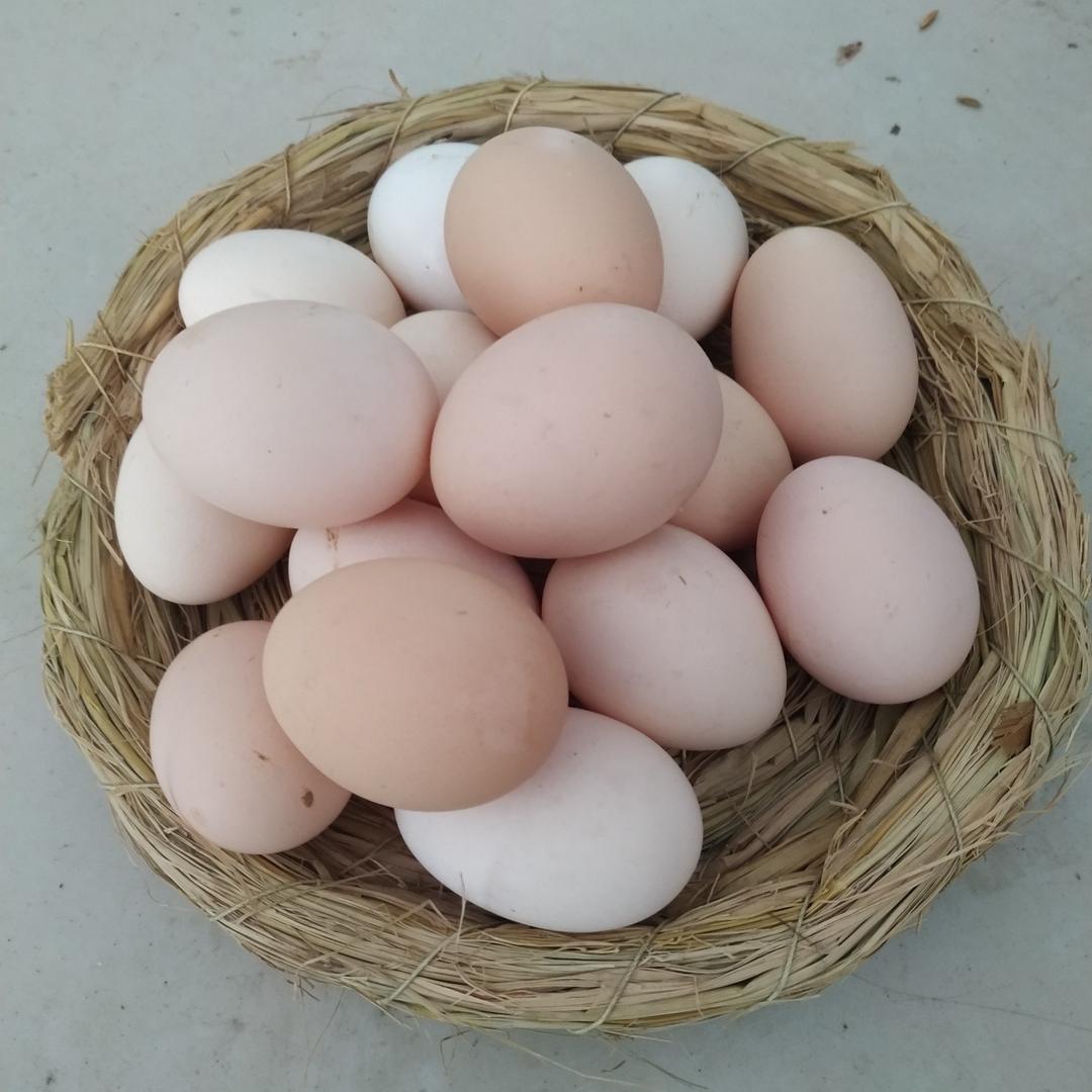 正宗乡里土鸡蛋