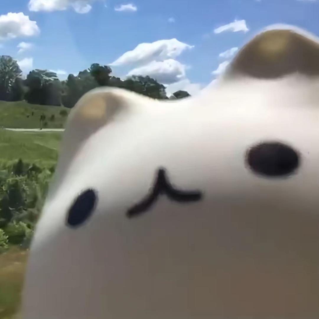 咸小咪^ ^