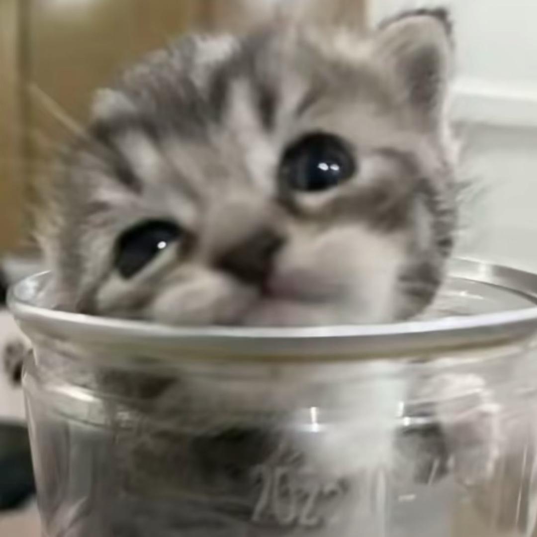 我女朋友超可爱