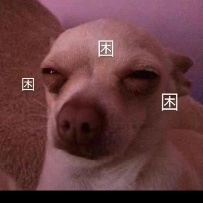 精神小汪跟