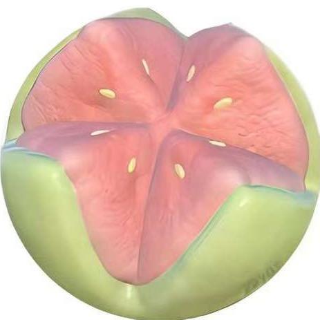 半个芭乐