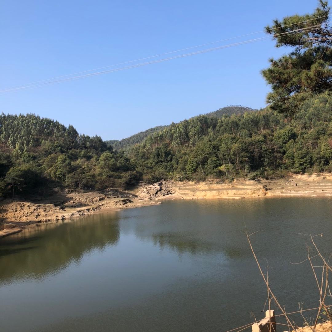 陈胜伦