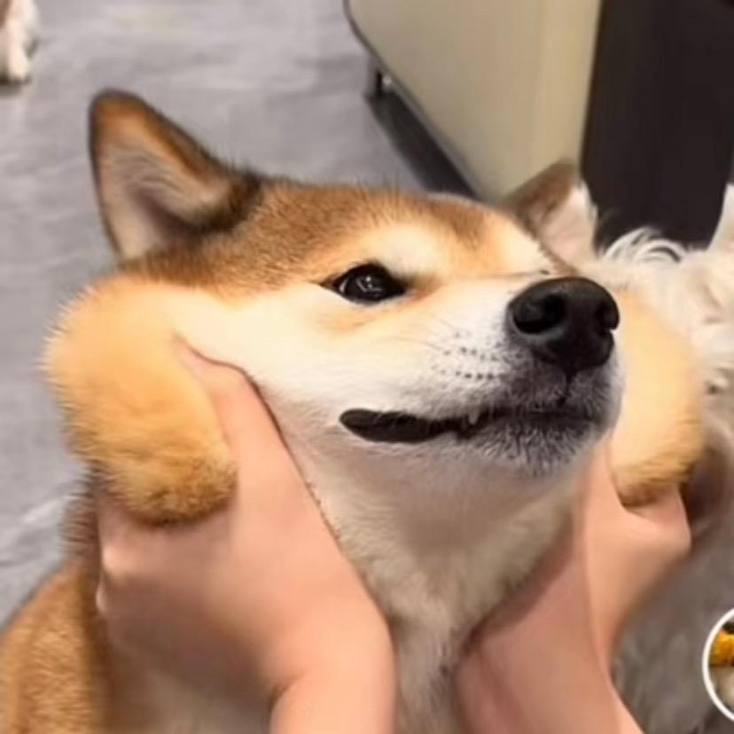 潇洒。