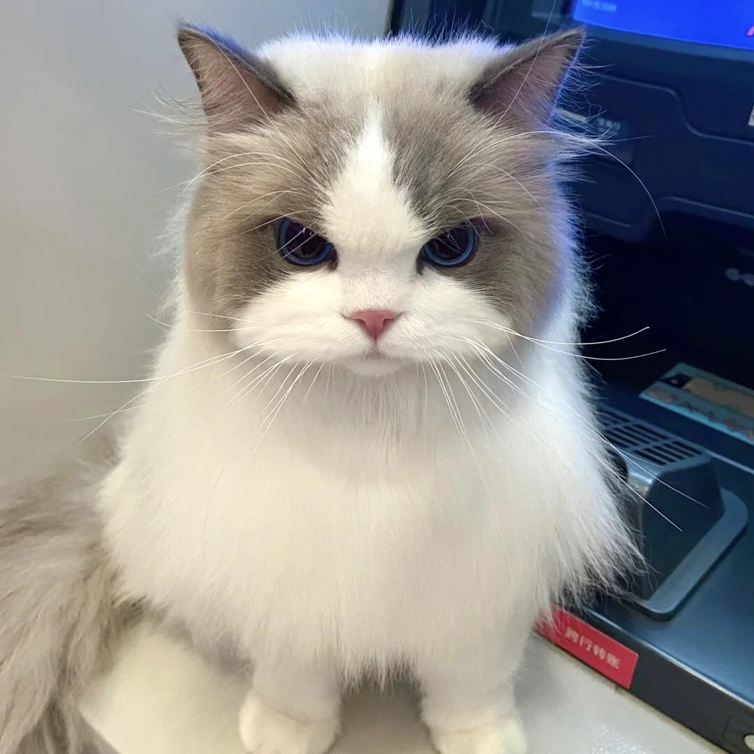 小默