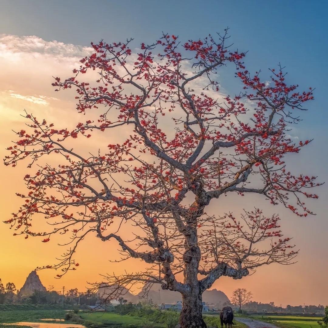 晓晓晓文化艺术市集