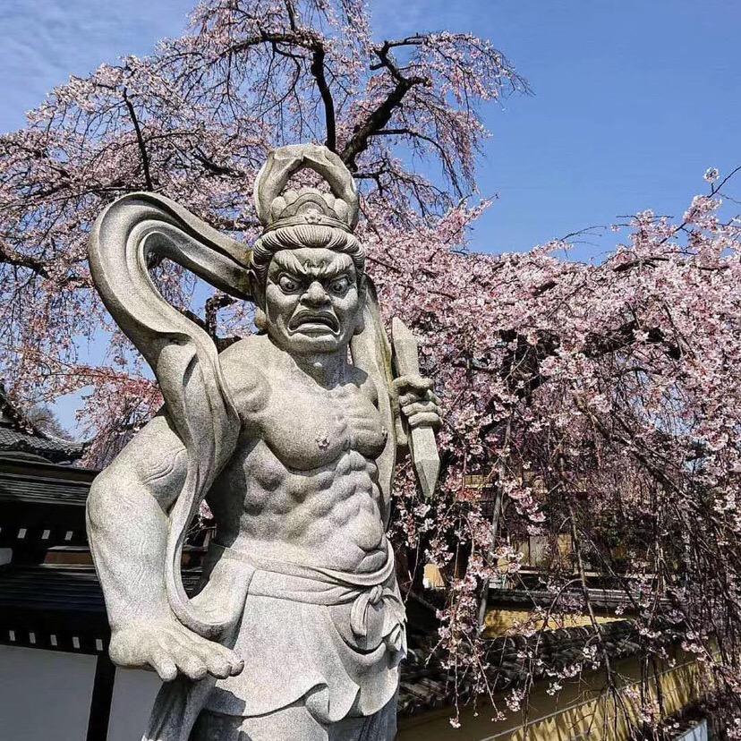 走方