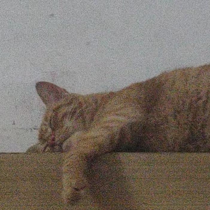 小棠