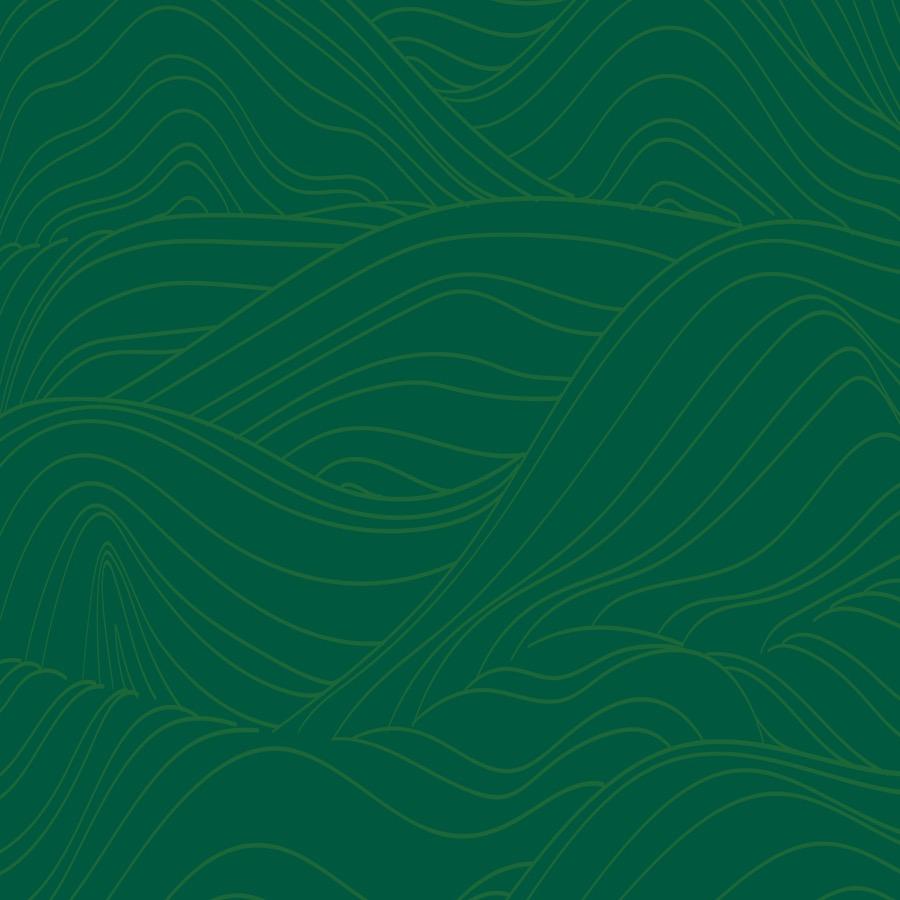 邮甄选·港货透骨膏