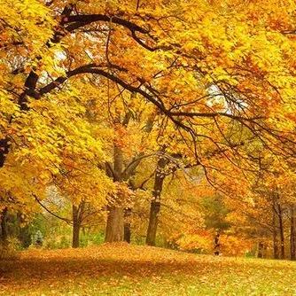 ⊙∀⊙！囡呗💋苷💅灬🔥