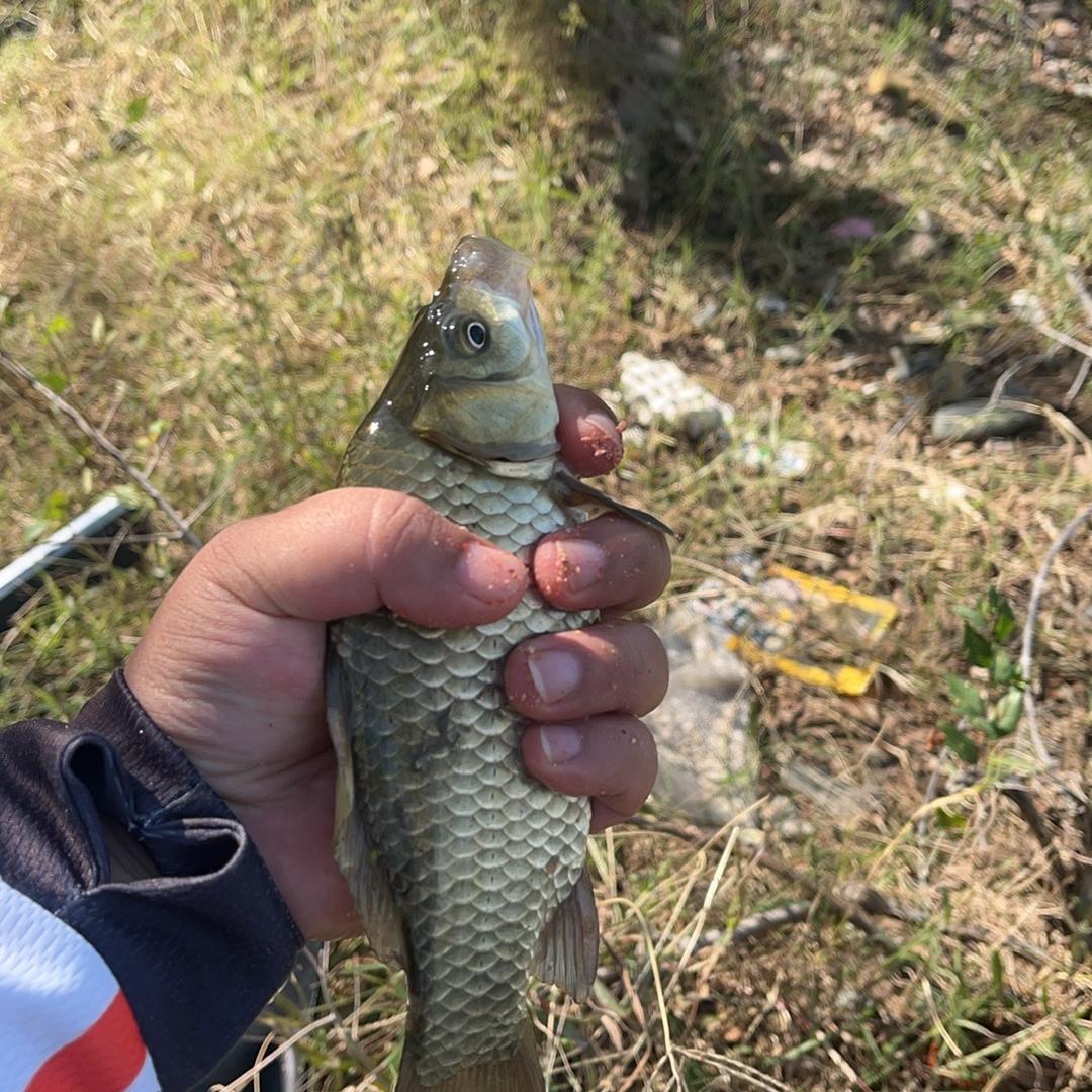 渔捕快户外用品